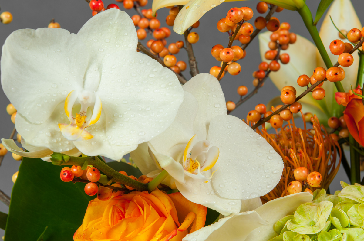 Autumn in New York Flower delivery New York City & Westchester, Manhattan, Brooklyn, Bronx