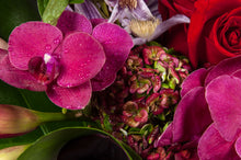 Load image into Gallery viewer, Designer’s Choice (With a Personalized Palette)