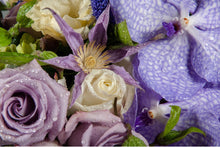 Load image into Gallery viewer, Designer’s Choice