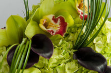 Load image into Gallery viewer, Designer’s Choice (With a Personalized Palette)