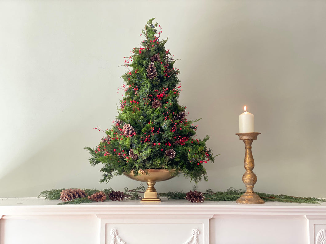 Holiday Juniper Tree