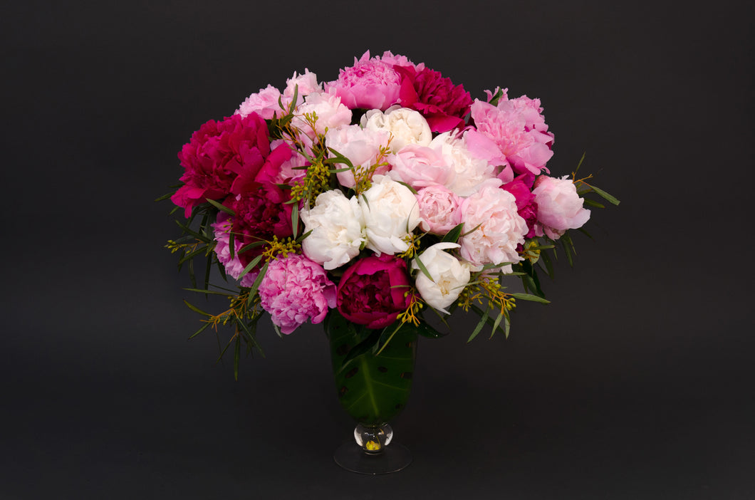 Peony’s Passion