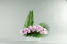 Load image into Gallery viewer, Modern Times Grand Phale