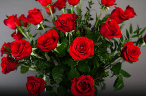 Two Dozen Roses in a Vase
