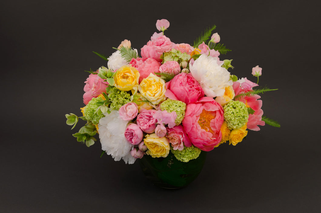 The Promise of Peonies