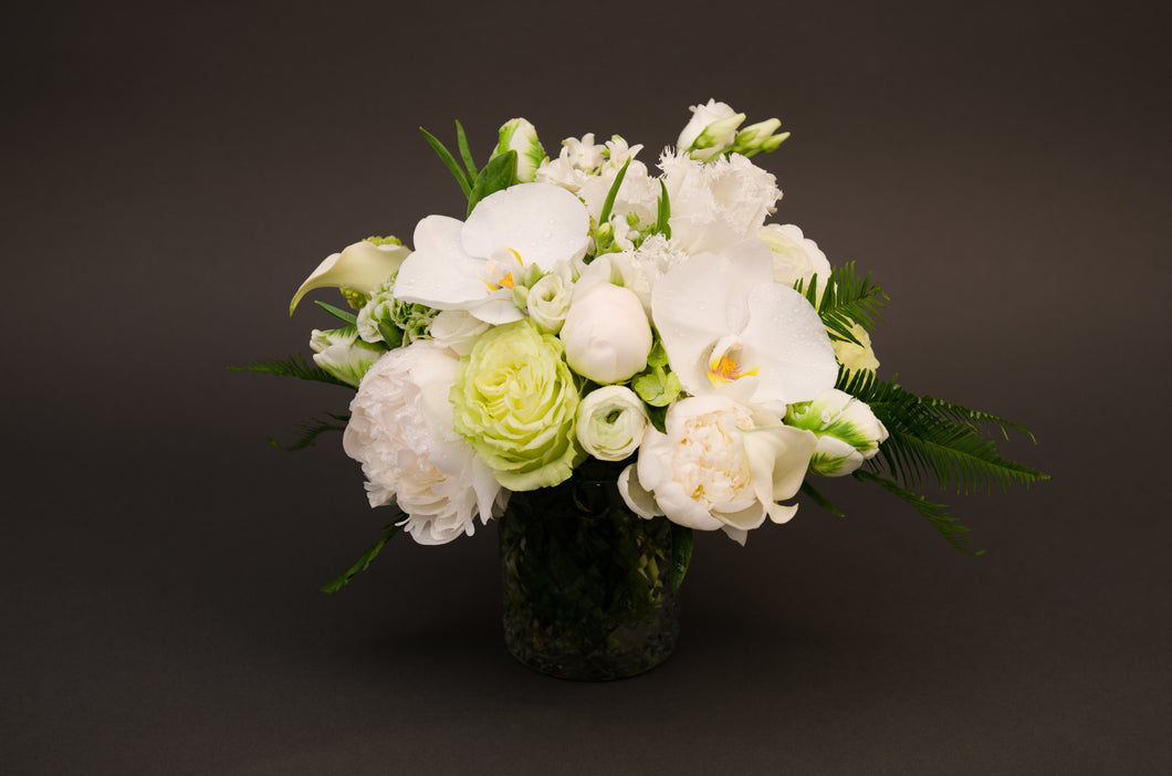 The Bashful Peony