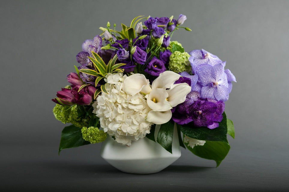 The Color Purple Regal