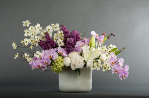 The Color Purple Deluxe